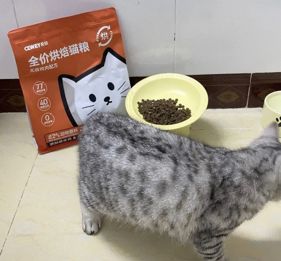 低溫烘焙新選擇 希喂貓糧如何成為家庭寵糧新寵